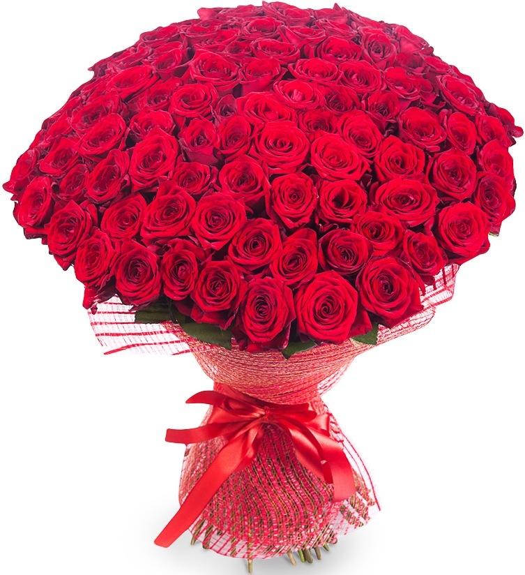 картинка 101 красная роза №1 от магазина Цветов