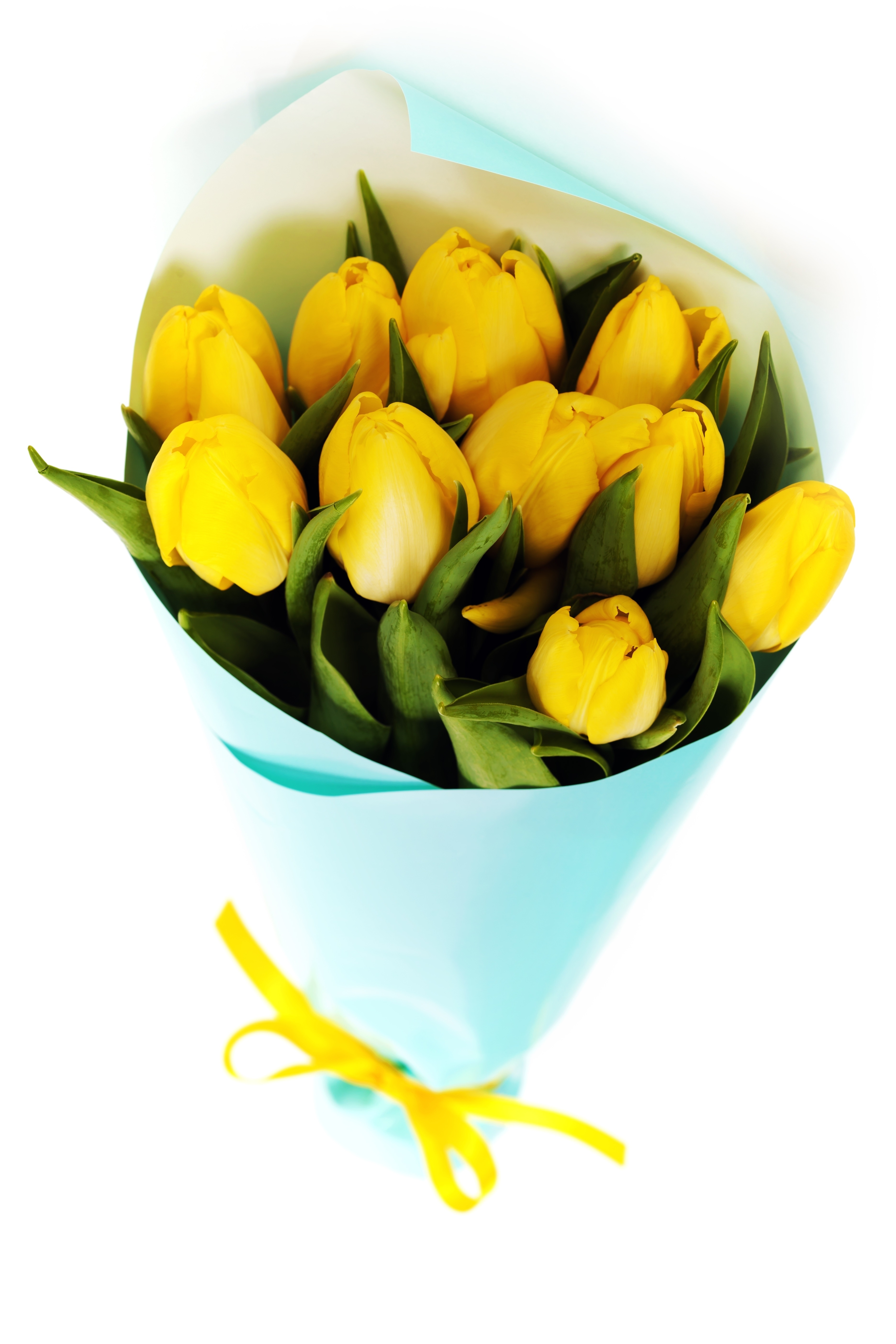 картинка 11 желтых тюльпанов от магазина Цветов