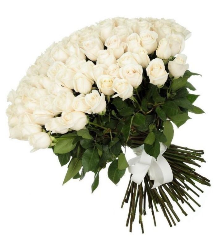 картинка 101 белая роза от магазина Цветов