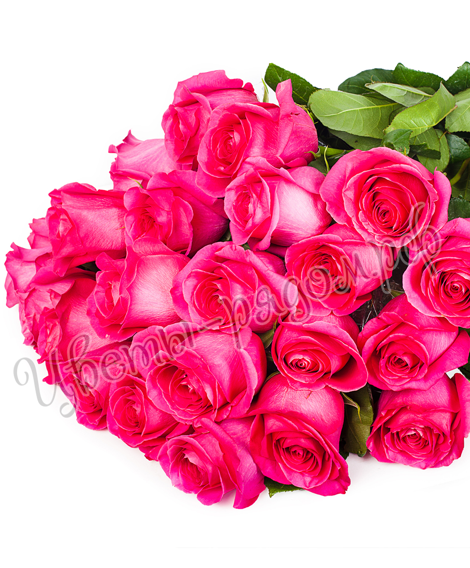 картинка 25 роз эквадор №9 от магазина Цветов