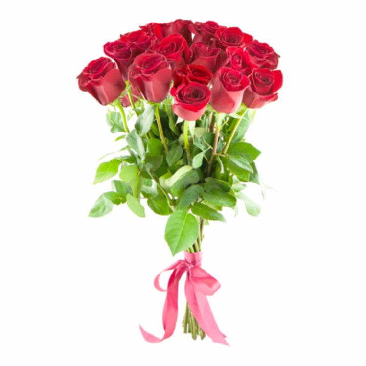 картинка 21 красная роза от магазина Цветов