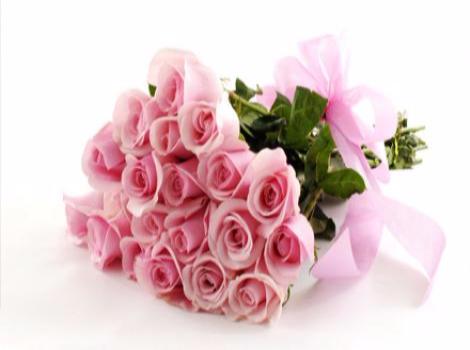 картинка 21 розовая роза от магазина Цветов