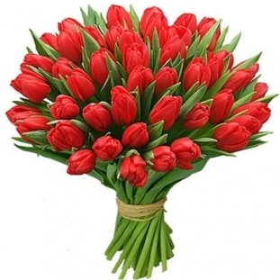 картинка 45 тюльпанов №2 от магазина Цветов