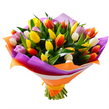 картинка 25 тюльпанов микс №4 от магазина Цветов