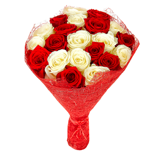 картинка 21 красная и белая роза от магазина Цветов