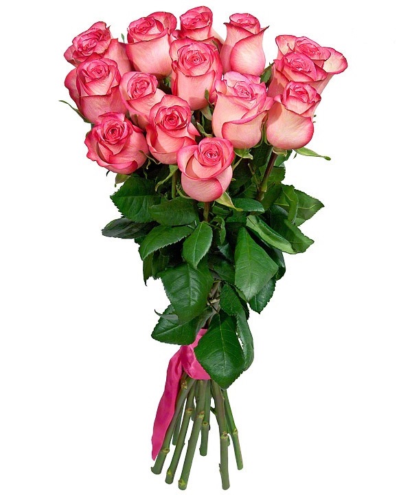 картинка 15 розовых роз Карусель от магазина Цветов