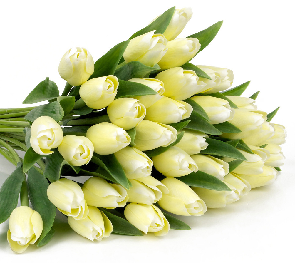 картинка 35 белых тюльпанов от магазина Цветов