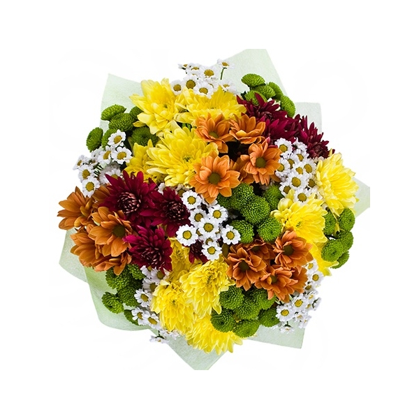 картинка 25 хризантем микс от магазина Цветов