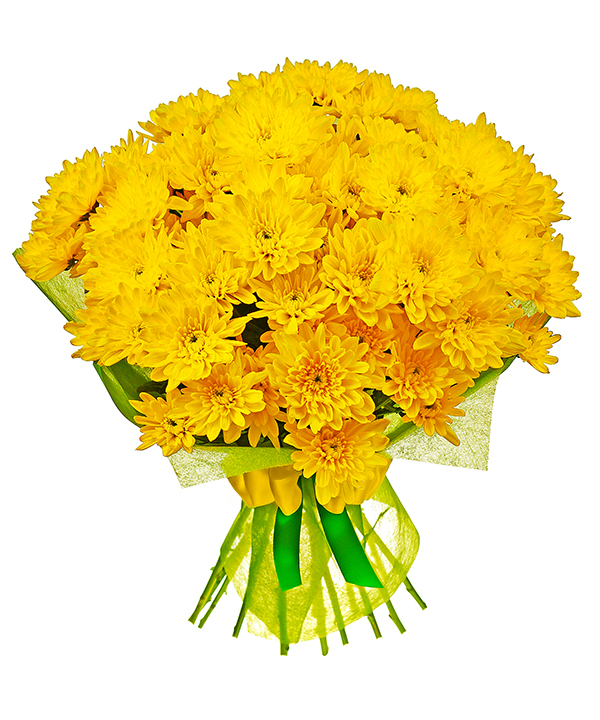 картинка 11 ярко-желтых кустовых хризантем №5 от магазина Цветов