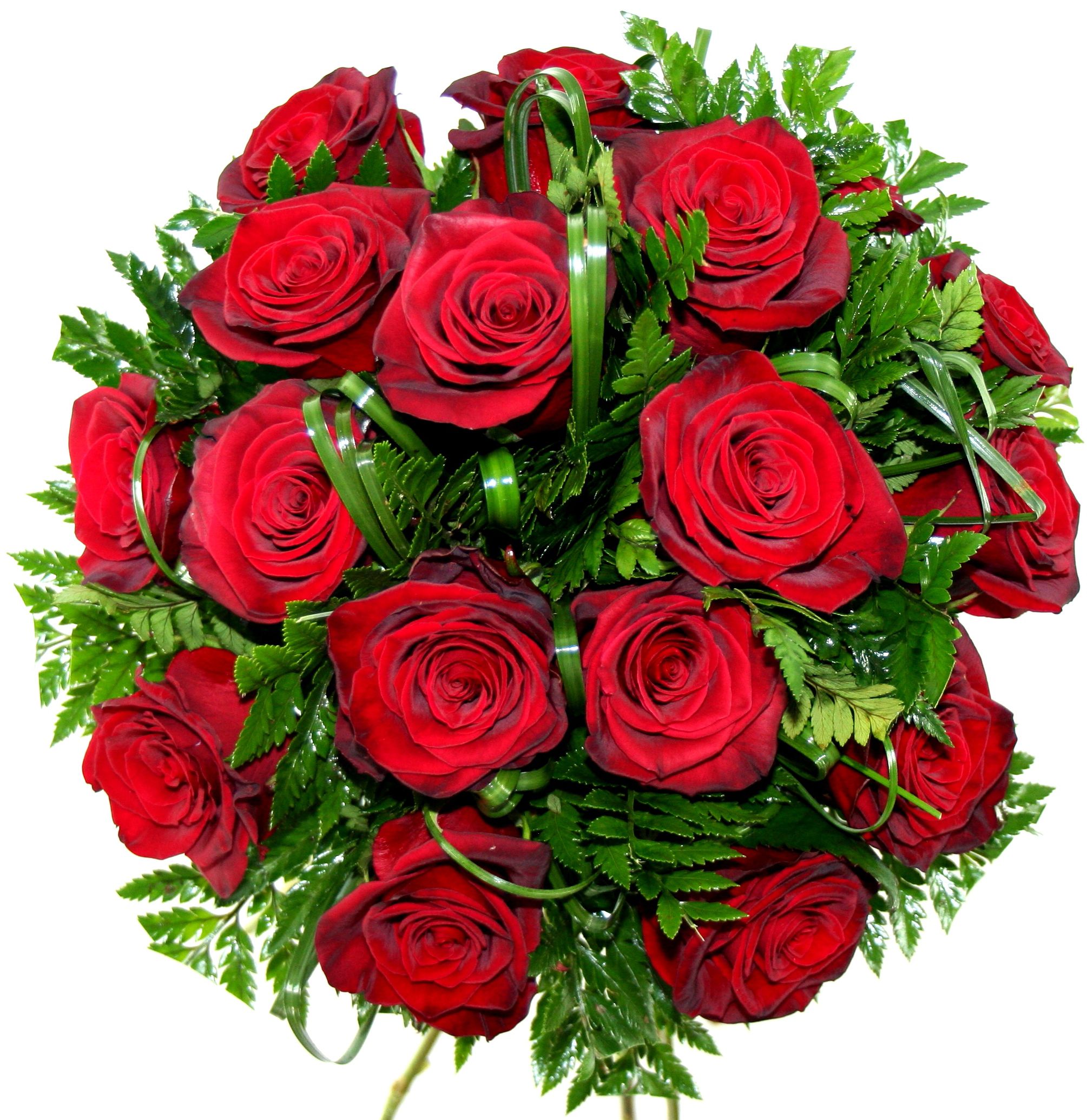 картинка 25 красных роз с зеленью от магазина Цветов