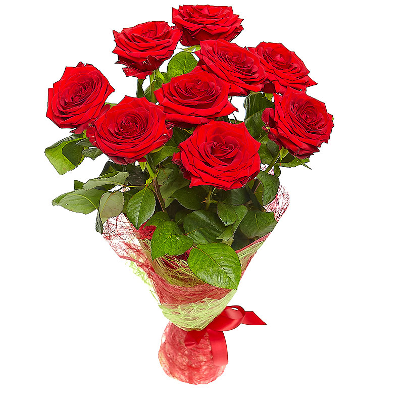 картинка 9 красных роз от магазина Цветов