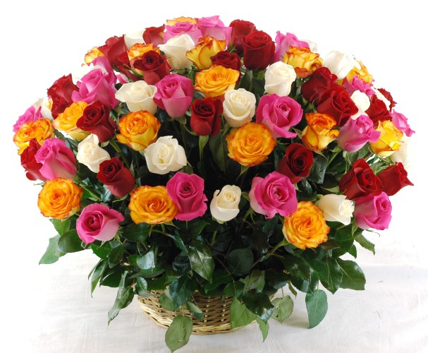 картинка 101 роза кения 37 см в корзине от магазина Цветов