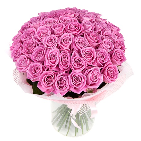 картинка 51 розовая роза от магазина Цветов