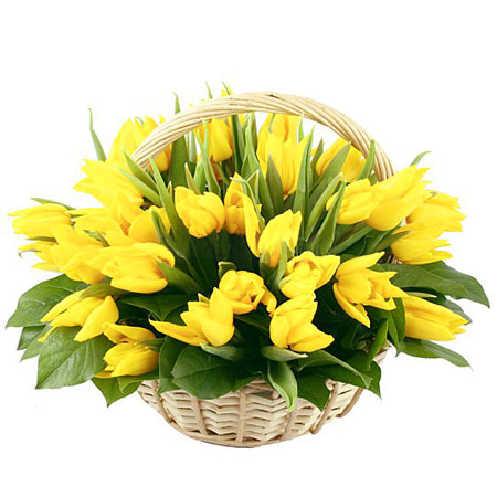 картинка 25 желтых тюльпанов  от магазина Цветов